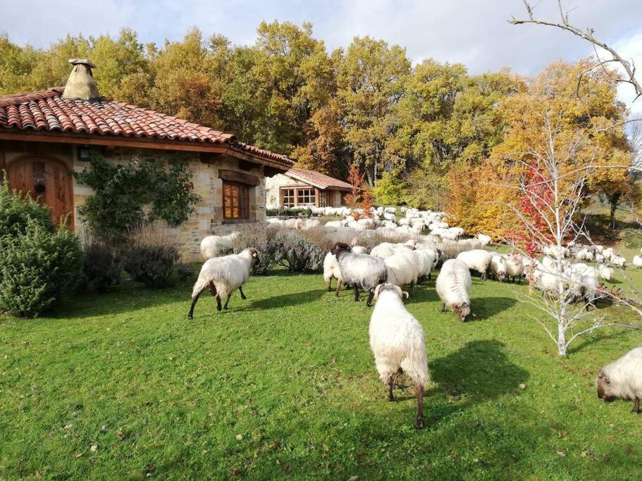 Murua Guikuri Octogono Casa Rural 1, 2 Y 3Paxヴィラ エクステリア 写真