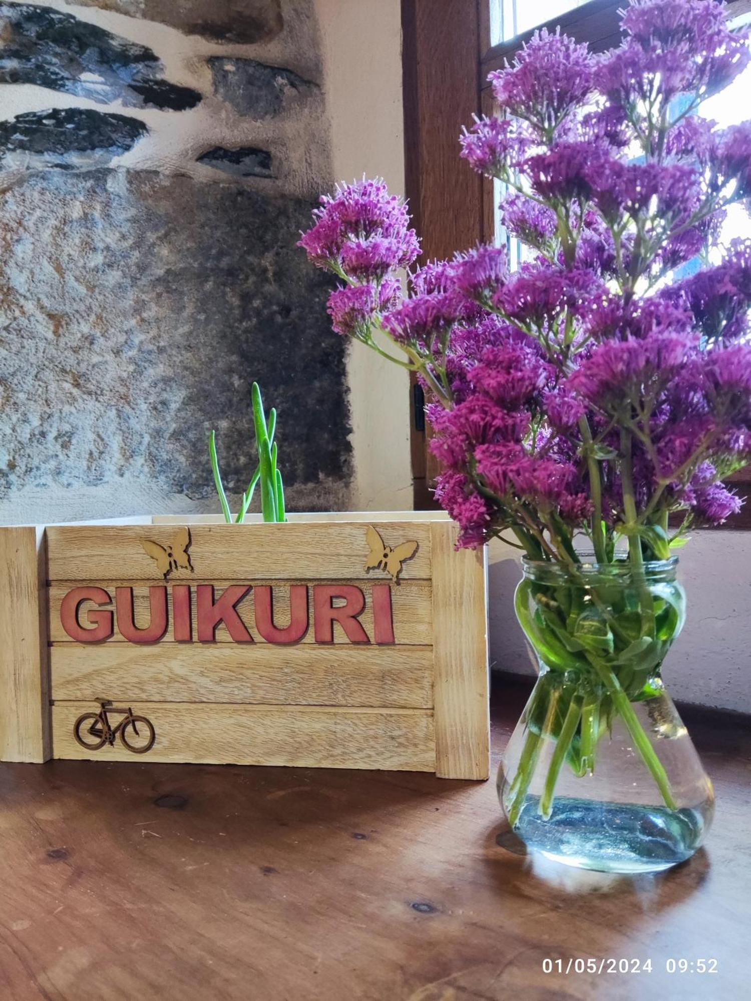 Murua Guikuri Octogono Casa Rural 1, 2 Y 3Paxヴィラ エクステリア 写真